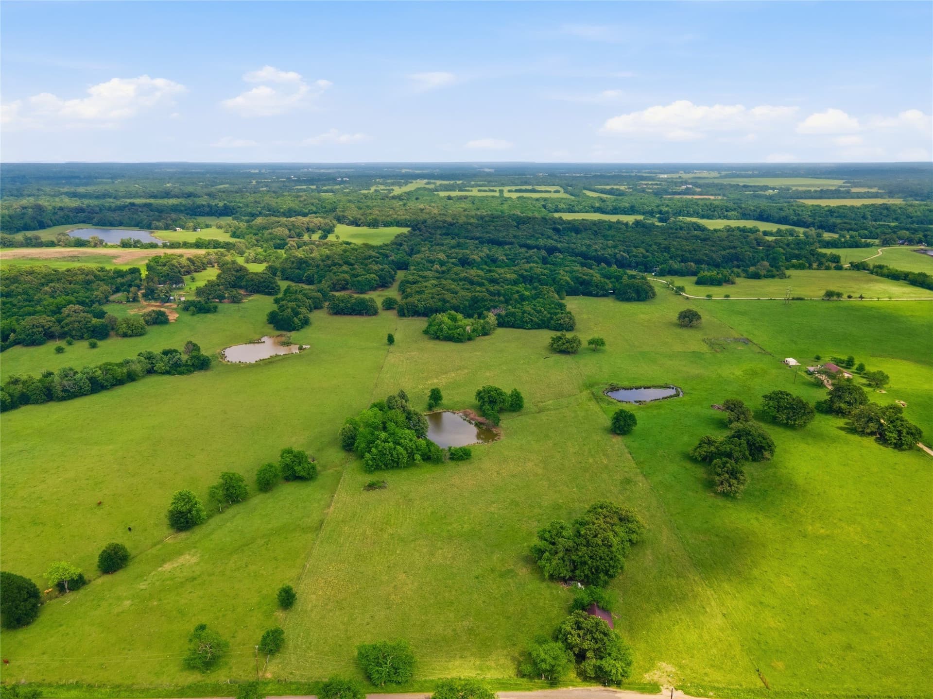 18 acres in Hopkins County gallery image 2