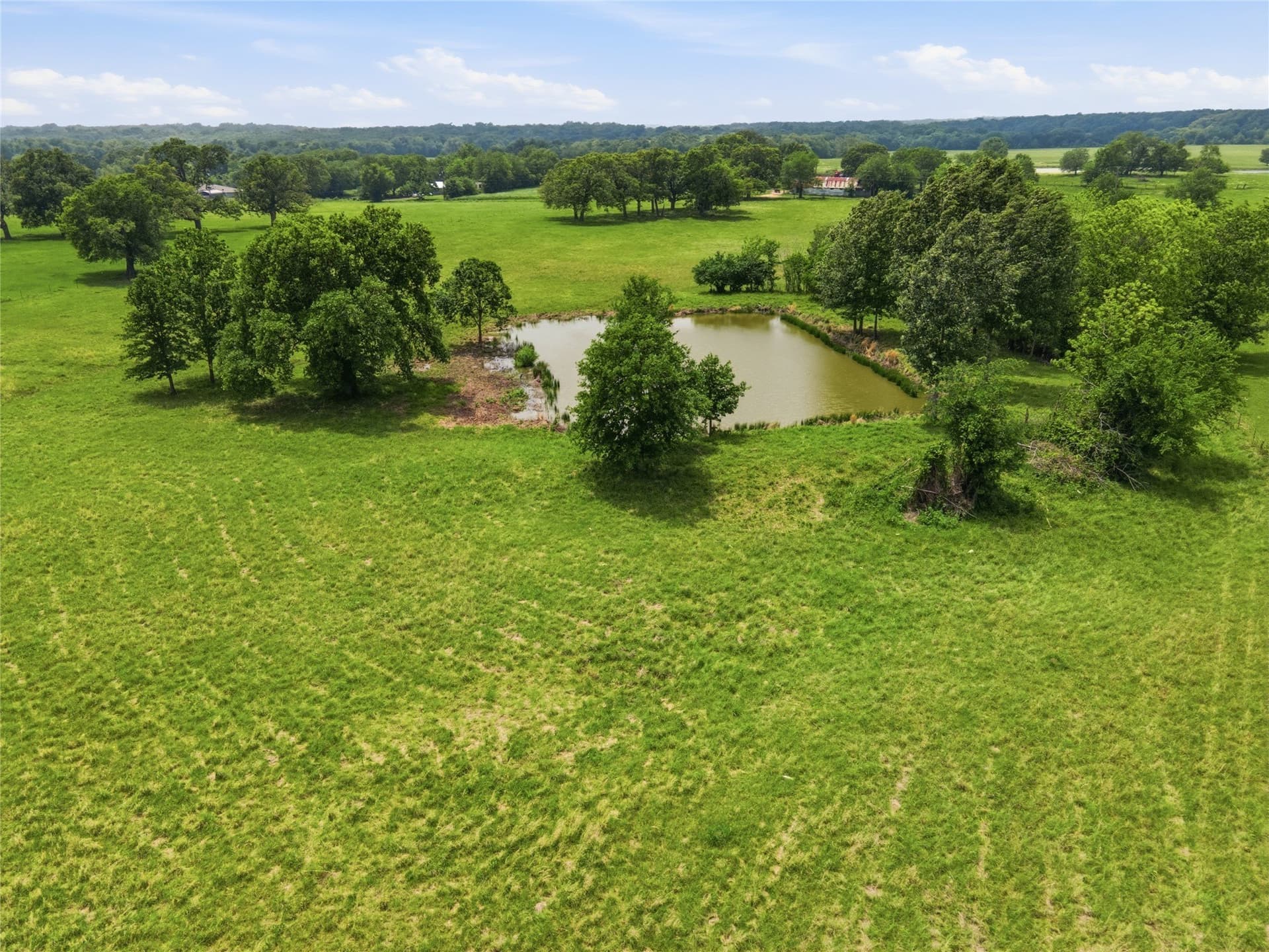 18 acres in Hopkins County - photo 8