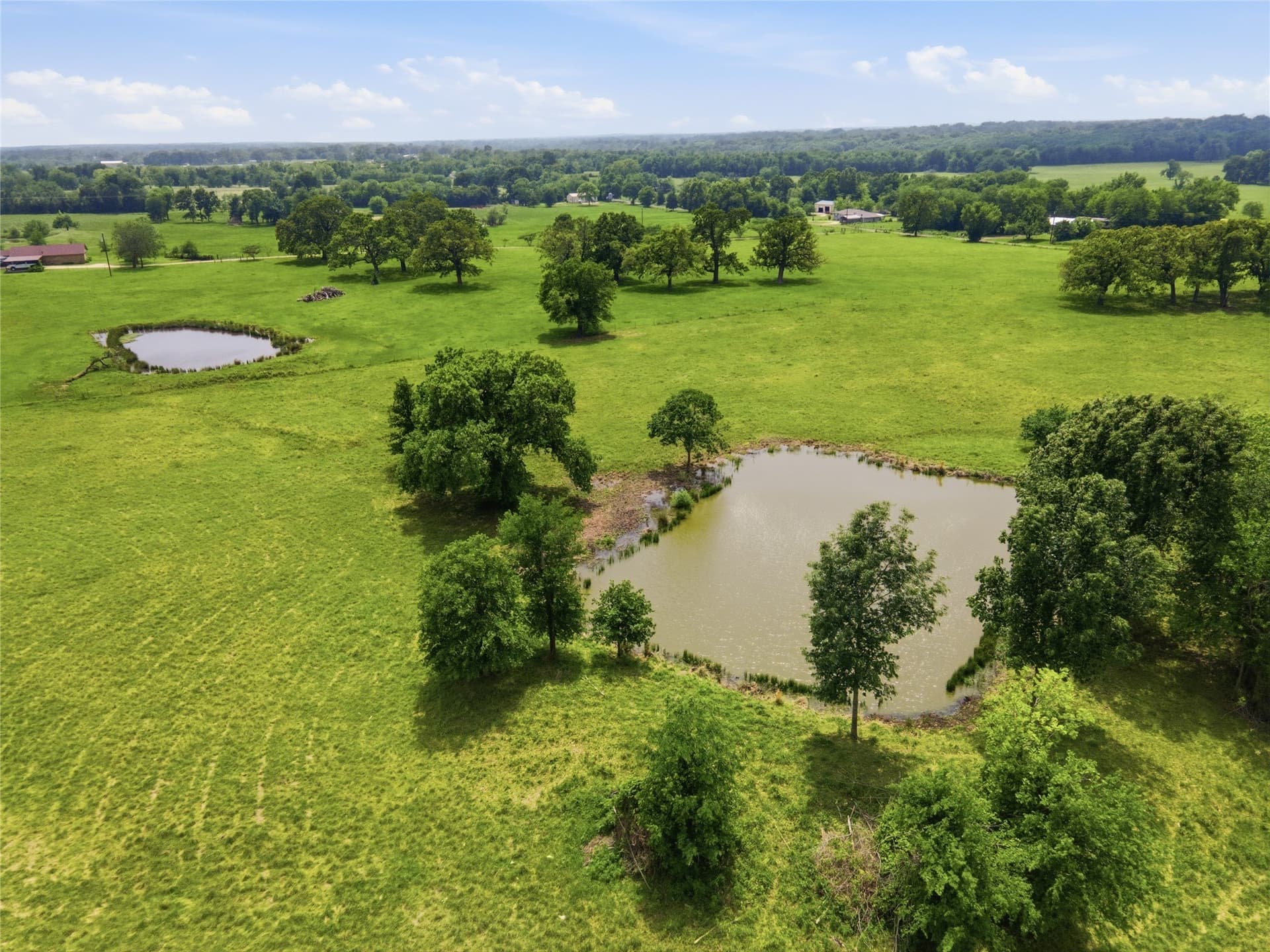 18 acres in Hopkins County - photo 9