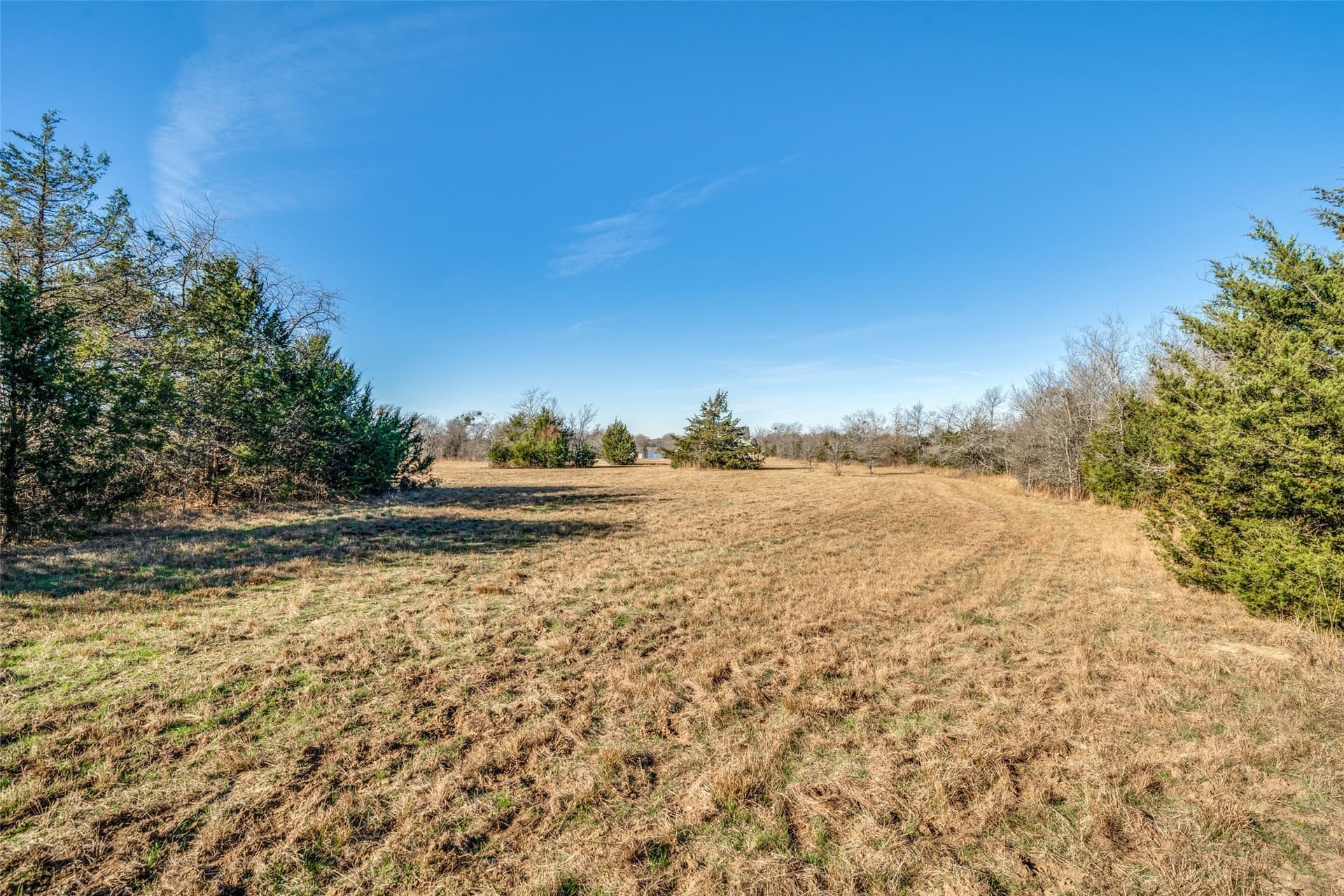 3.16 acres in Rains County - photo 11