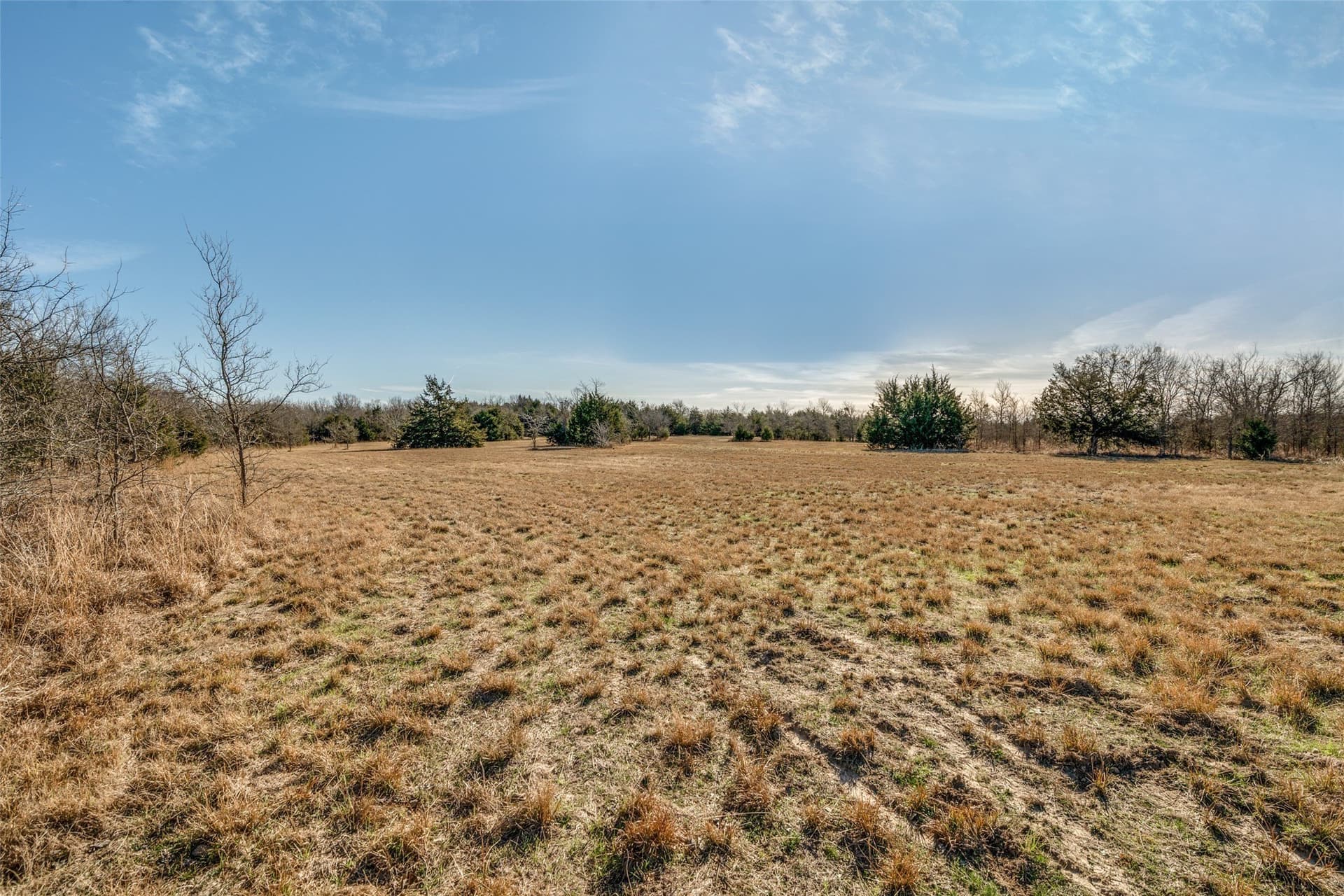 3.16 acres in Rains County - photo 8