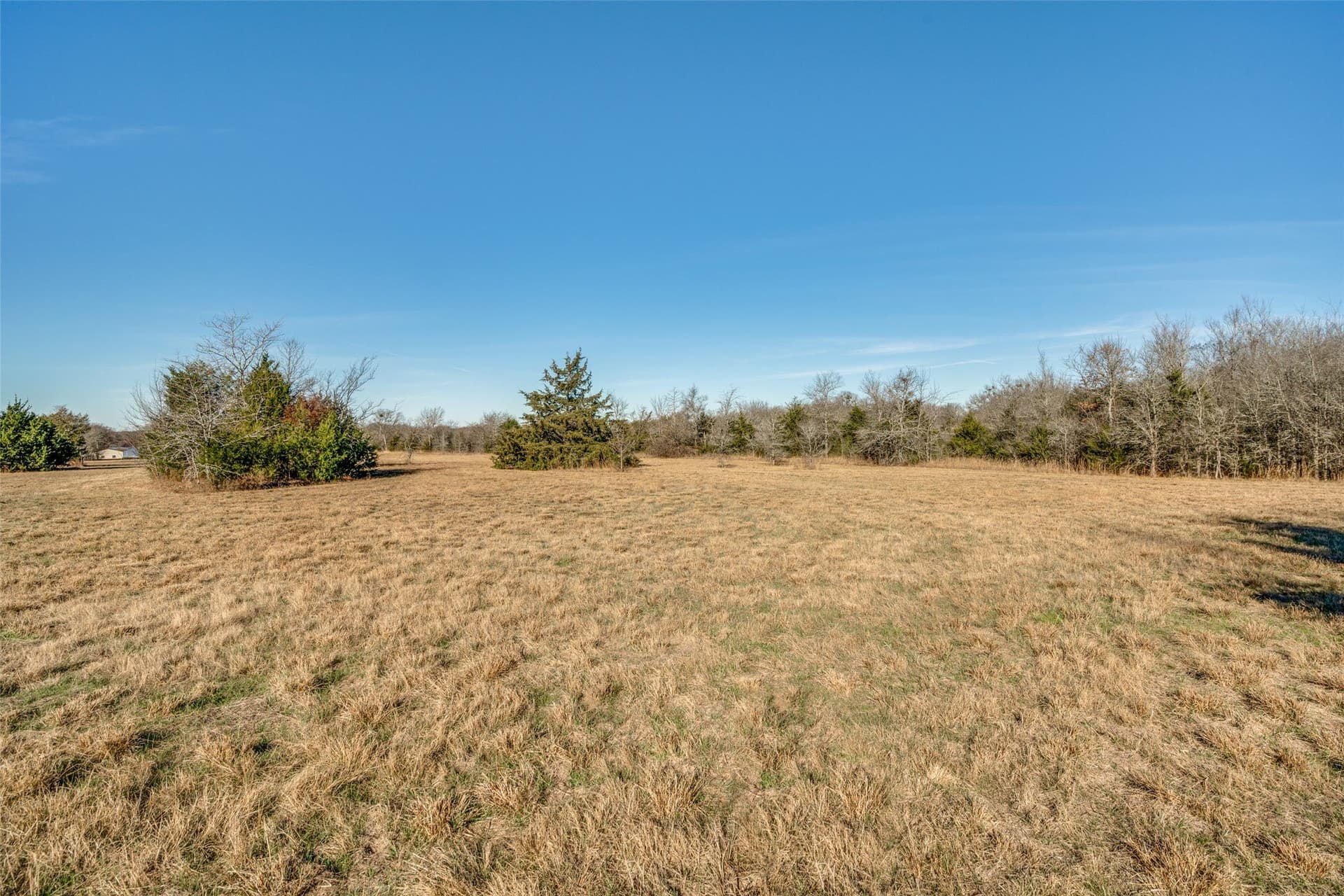 3.16 acres in Rains County - photo 10