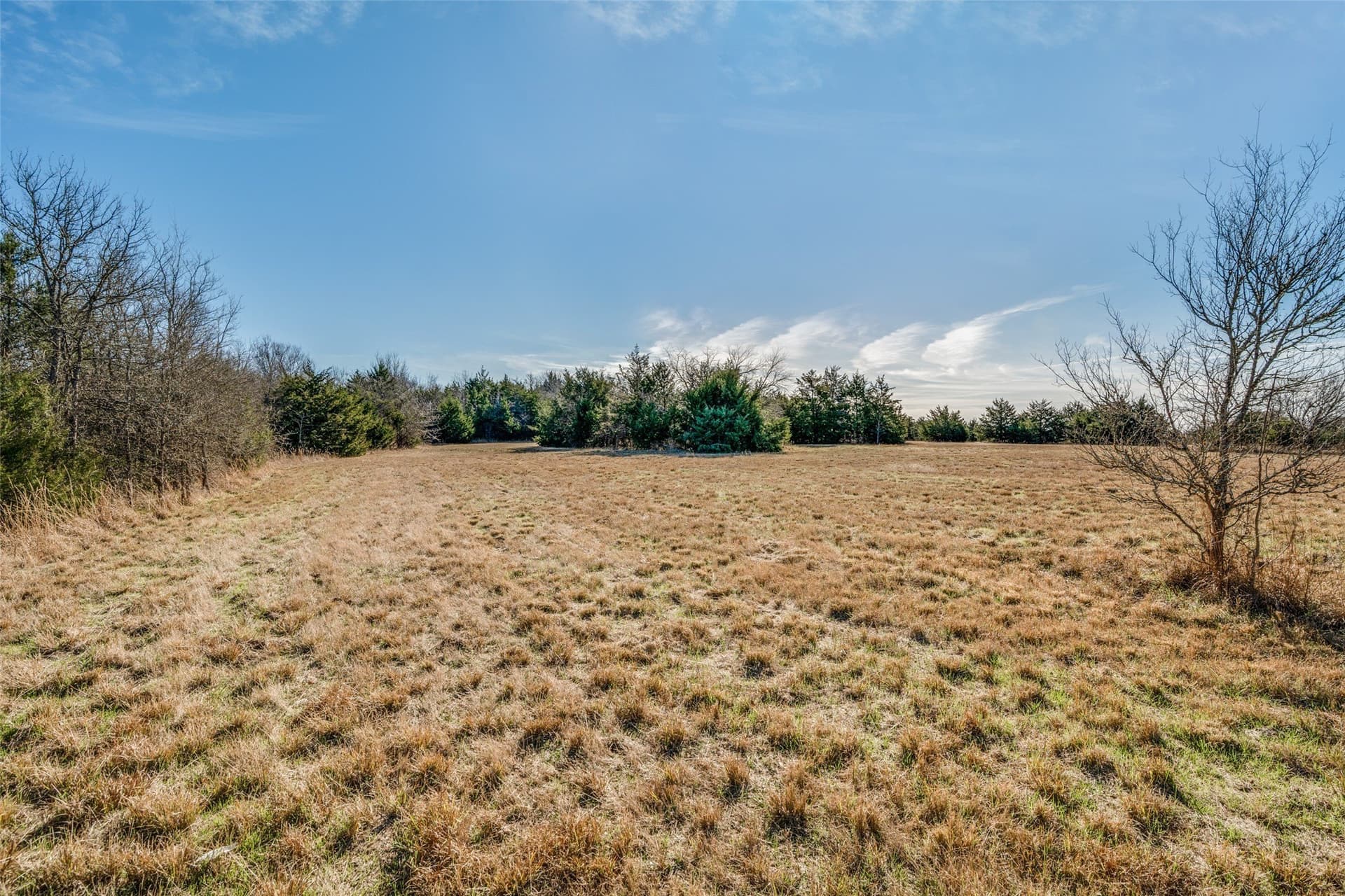 3.16 acres in Rains County - photo 9