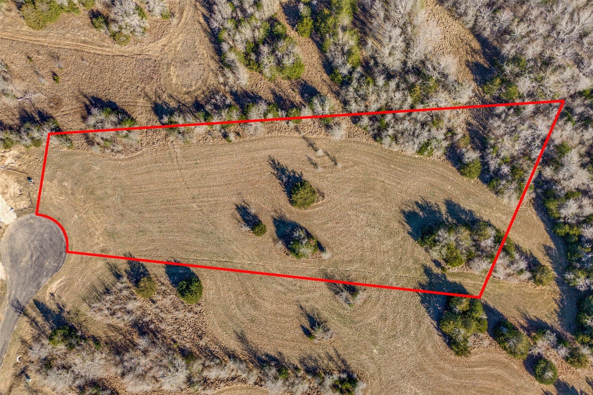 3.16 acres in Rains County gallery image 4