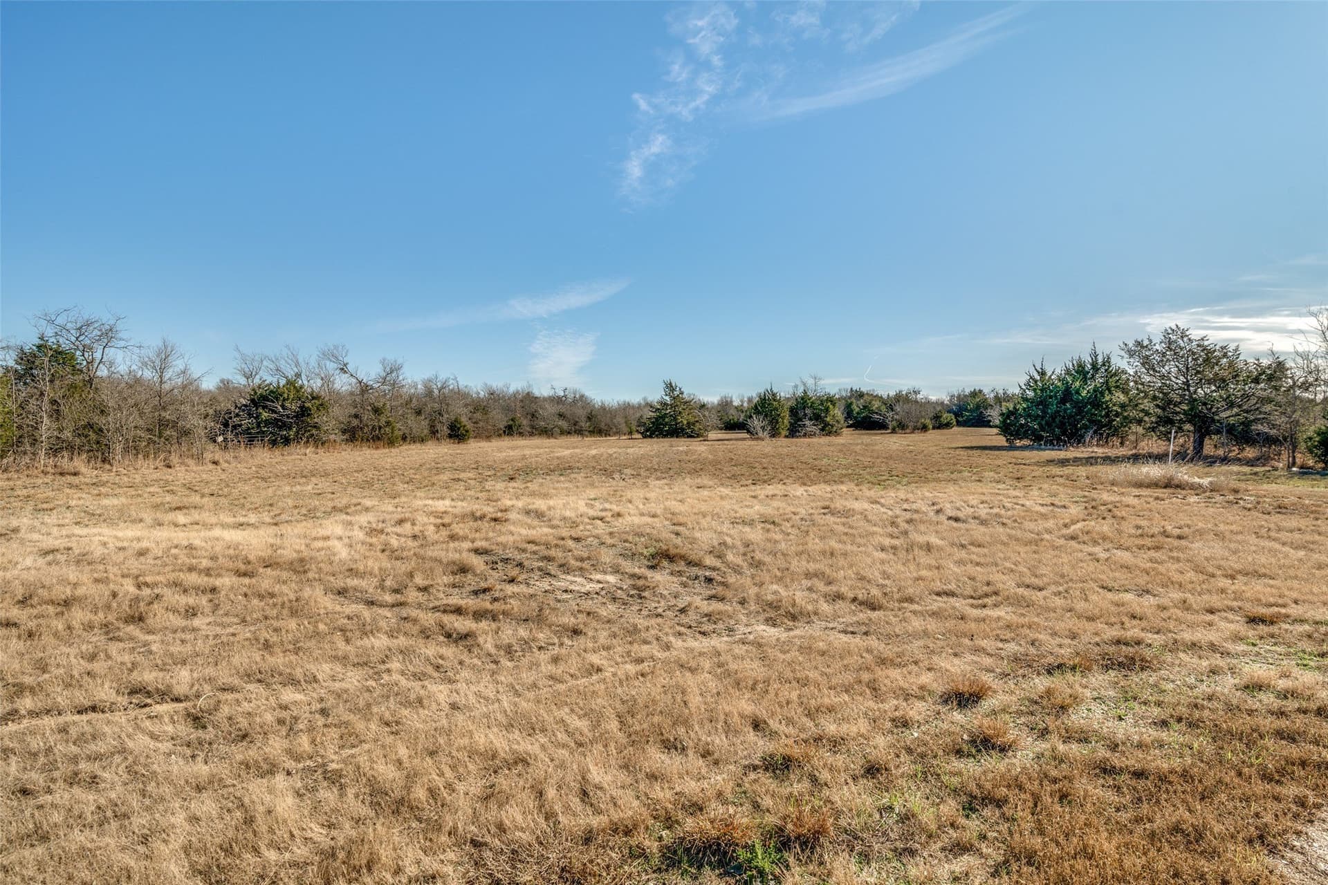 3.16 acres in Rains County - photo 7