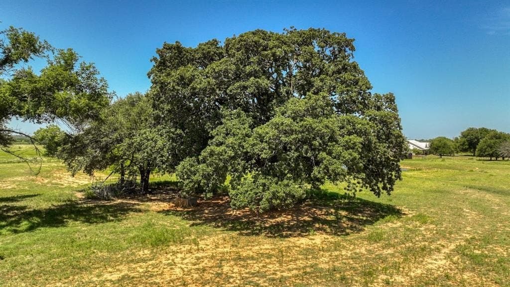 12.3 acres in Hood County featured view