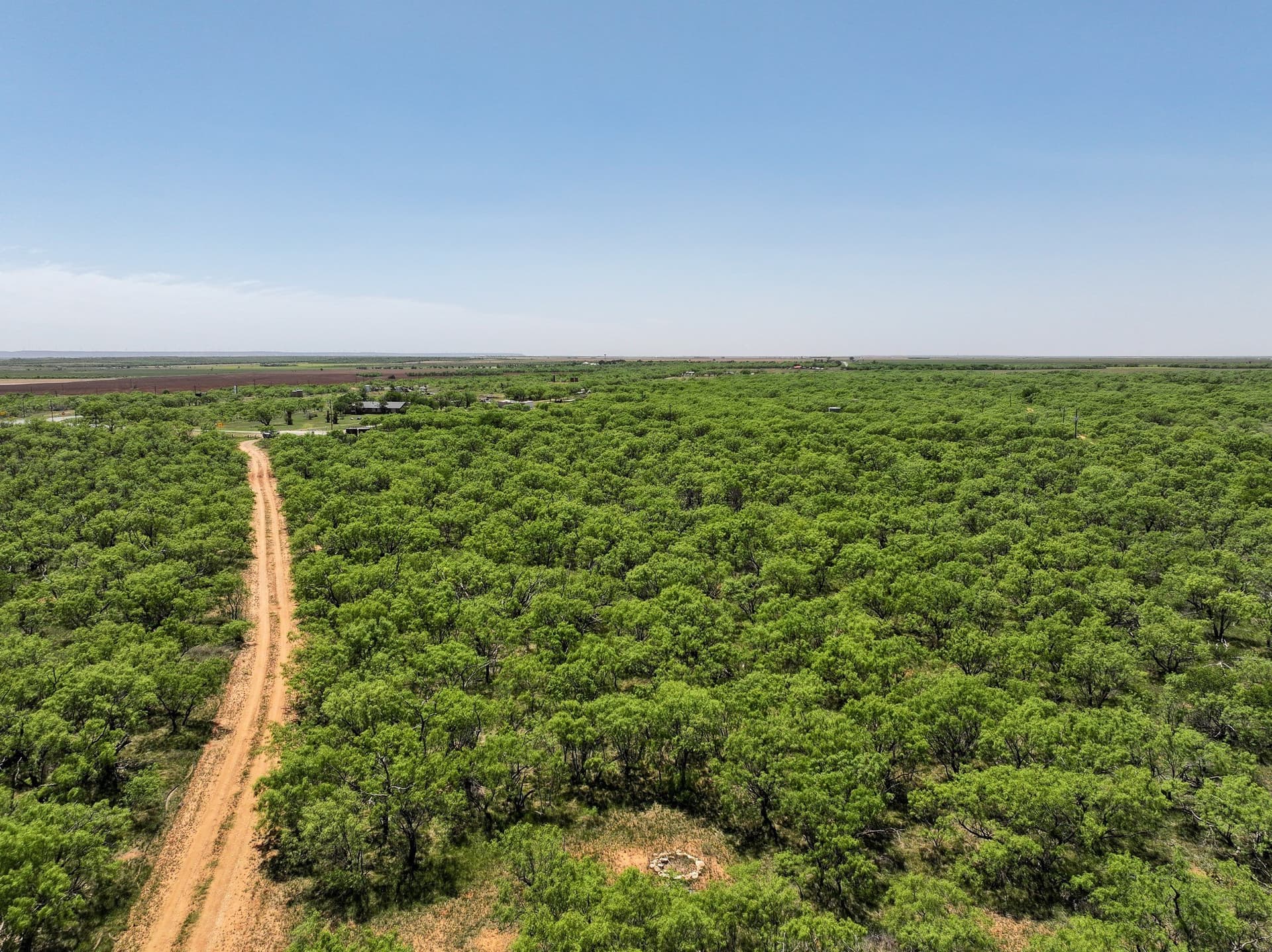 10.01 acres in Jones County - photo 7