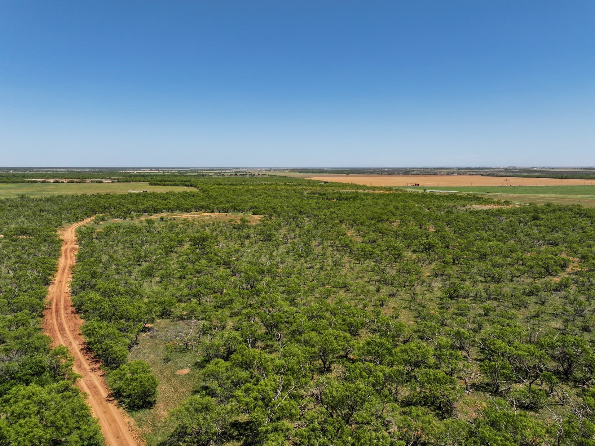 10.01 acres in Jones County - photo 5