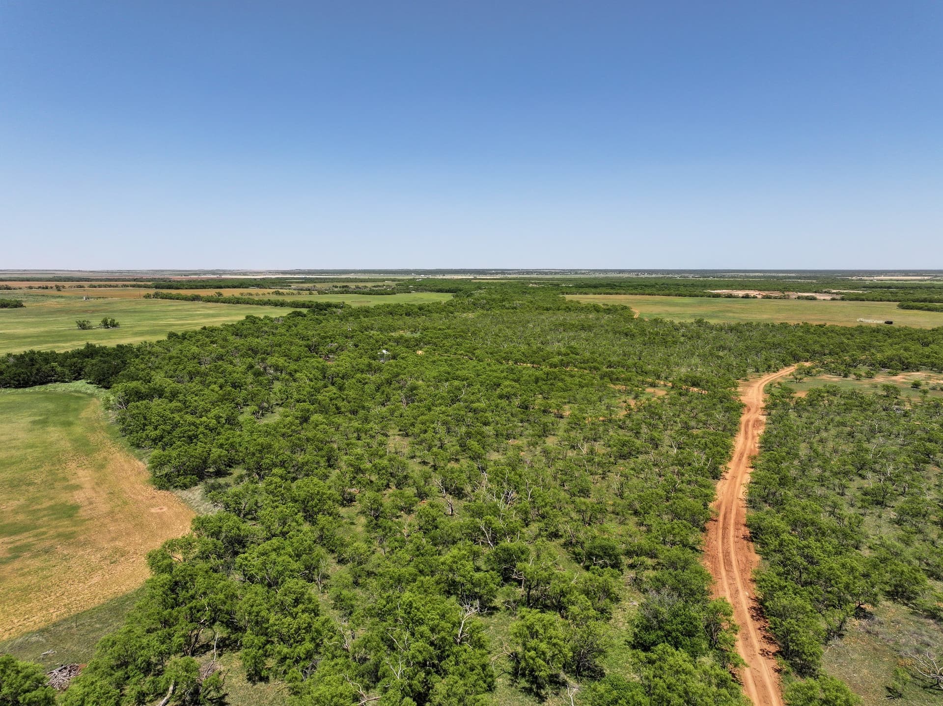10.01 acres in Jones County - photo 4