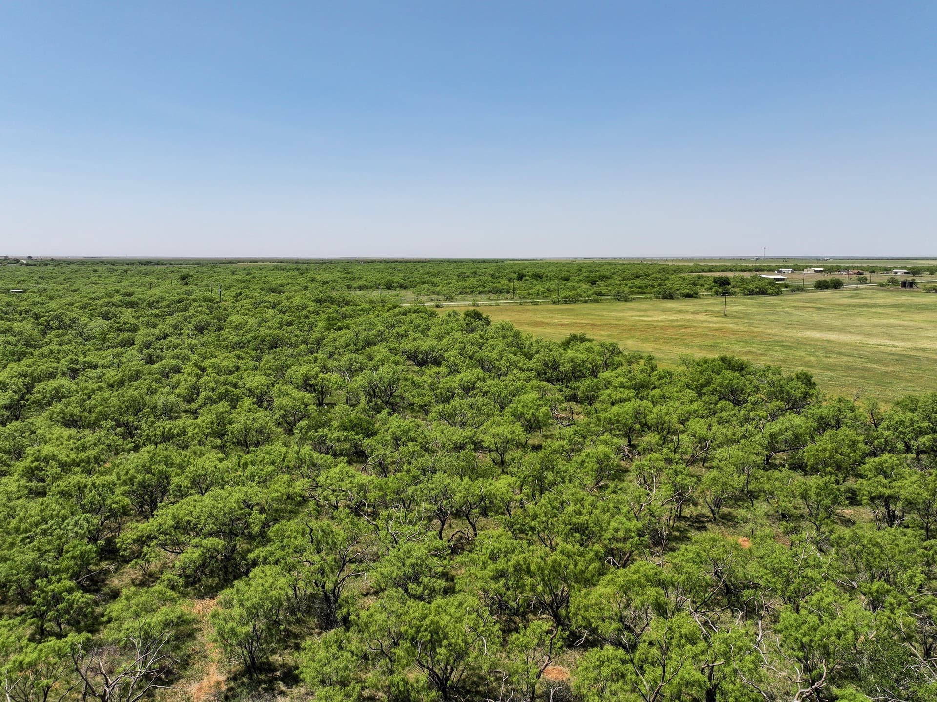 10.01 acres in Jones County - photo 18