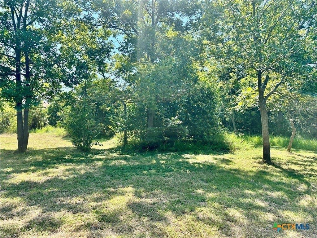 0.15 acres in Bell County - photo 9