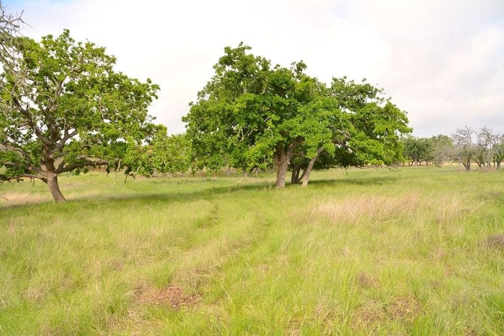 57.15 acres in Gillespie County - photo 22