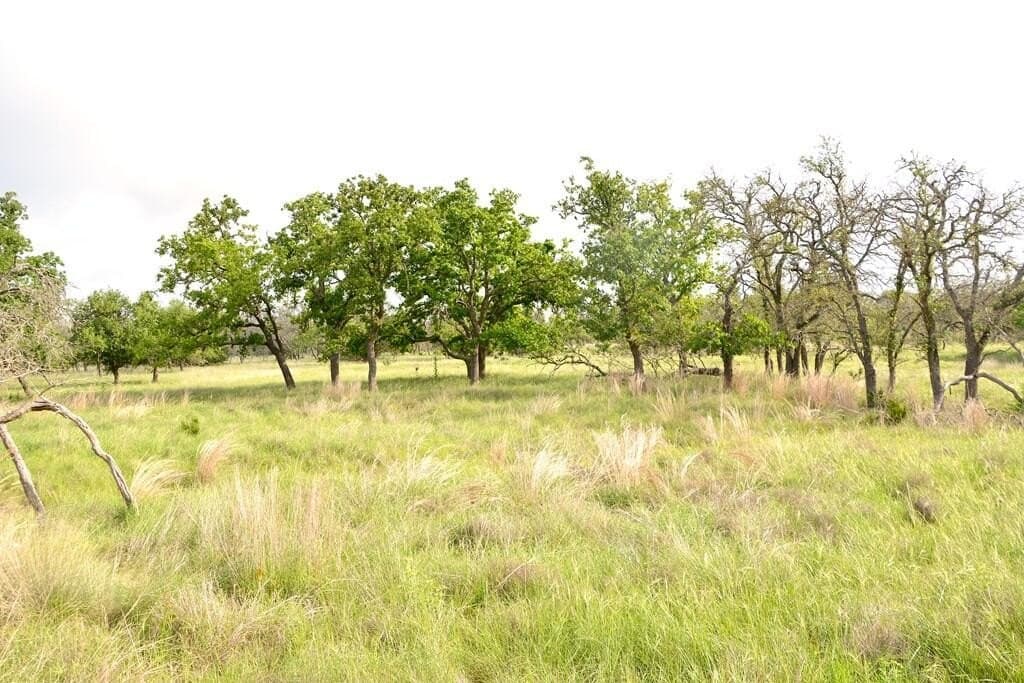 57.15 acres in Gillespie County - photo 20
