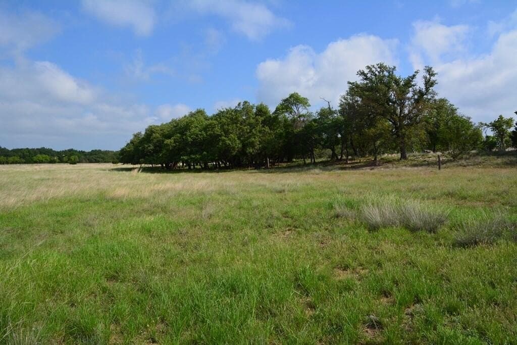 57.15 acres in Gillespie County - photo 23