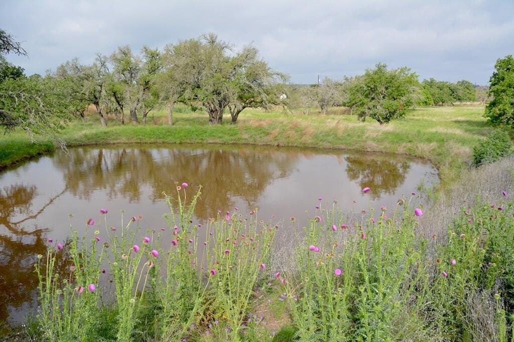 57.15 acres in Gillespie County - photo 6
