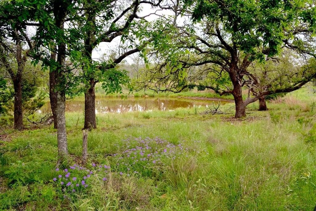 57.15 acres in Gillespie County - photo 8