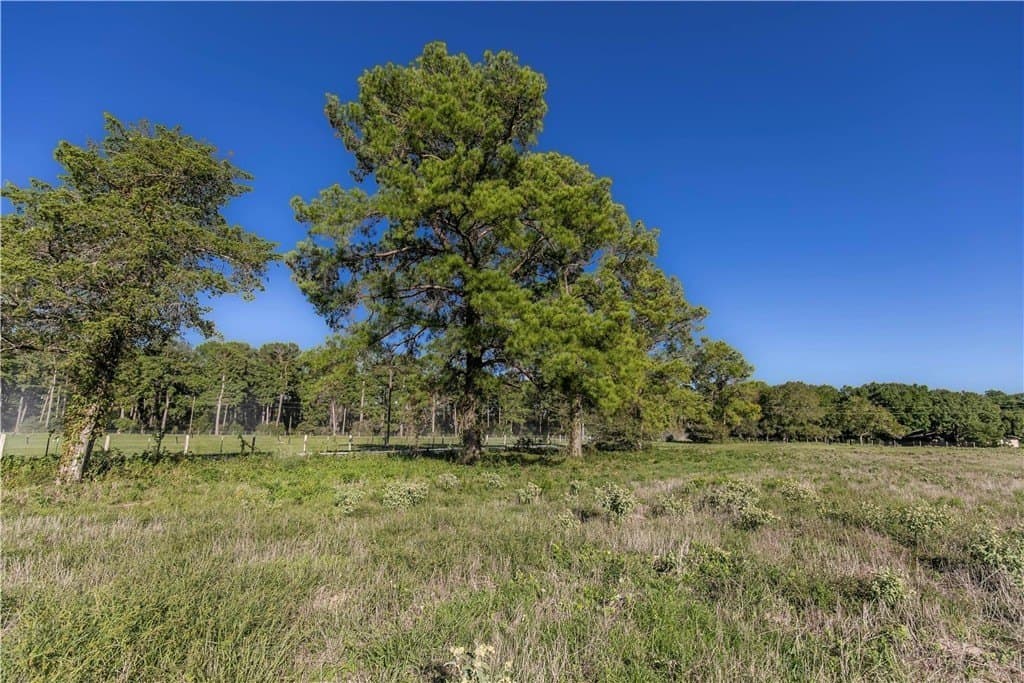 6 acres in AUSTIN County - photo 7
