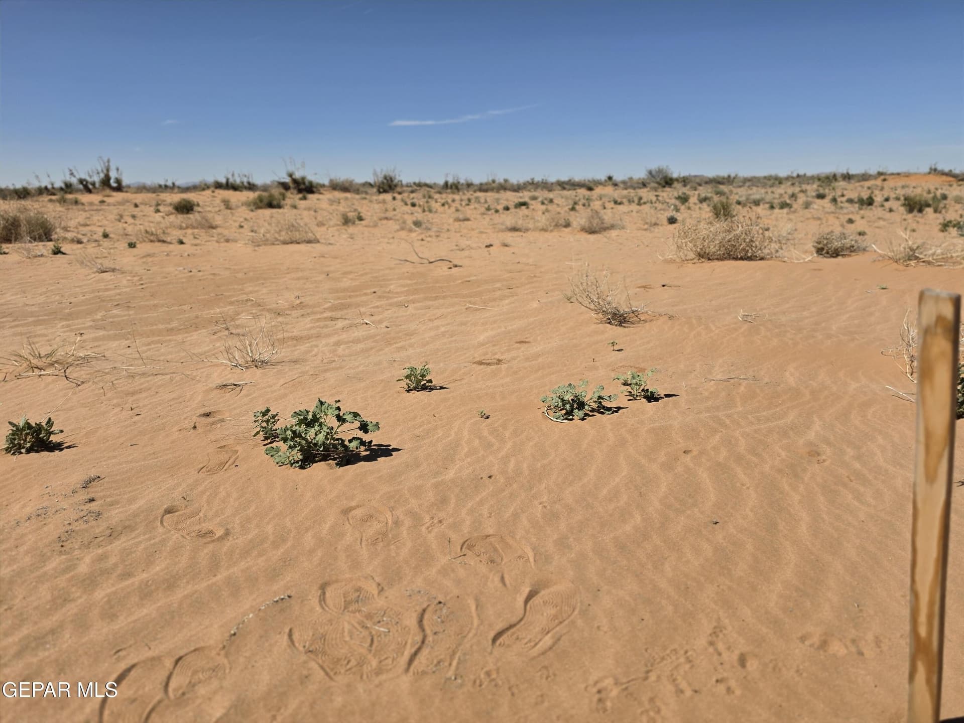 0.83 acres in El Paso County - photo 8