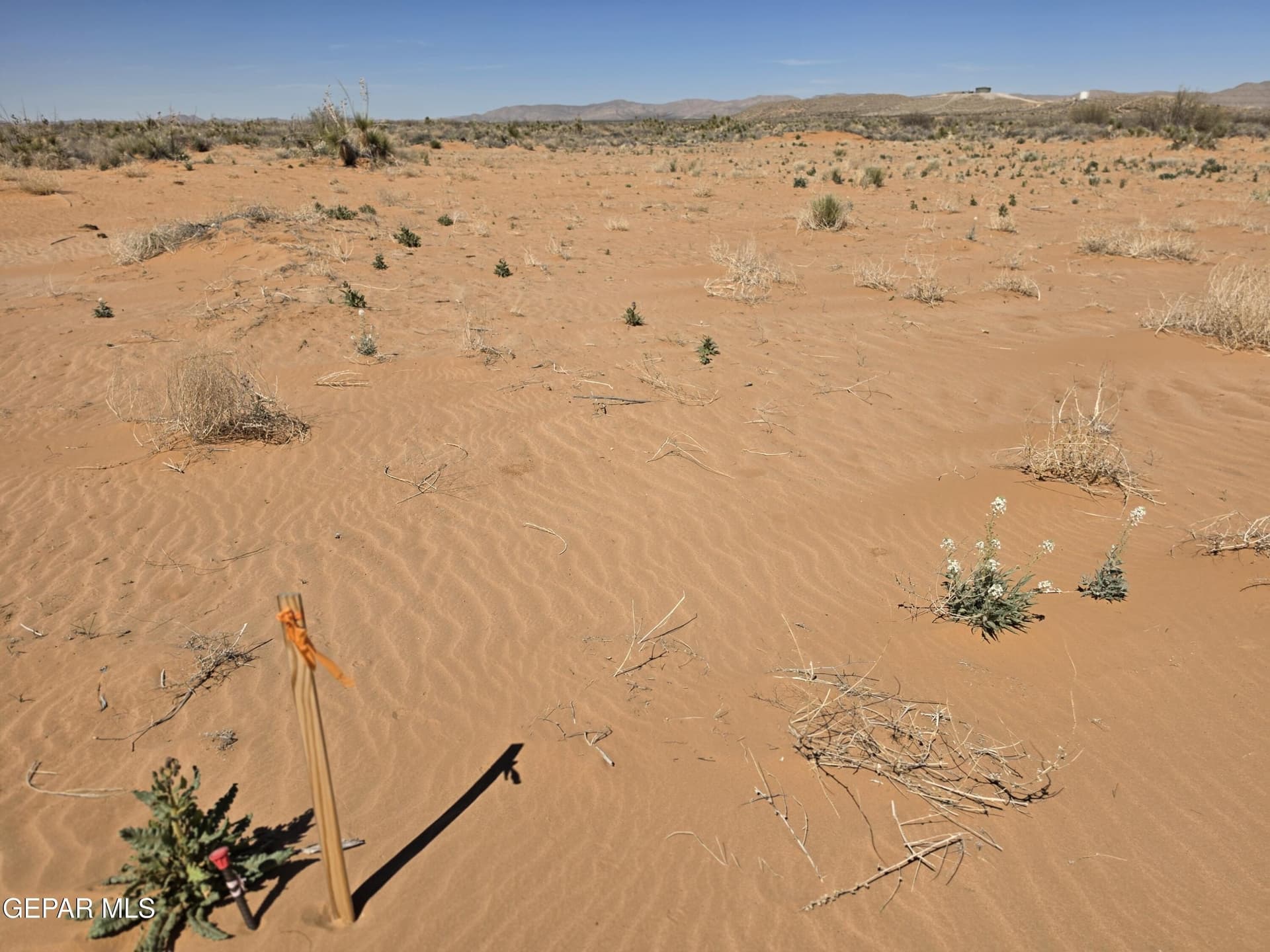 0.83 acres in El Paso County gallery image 3