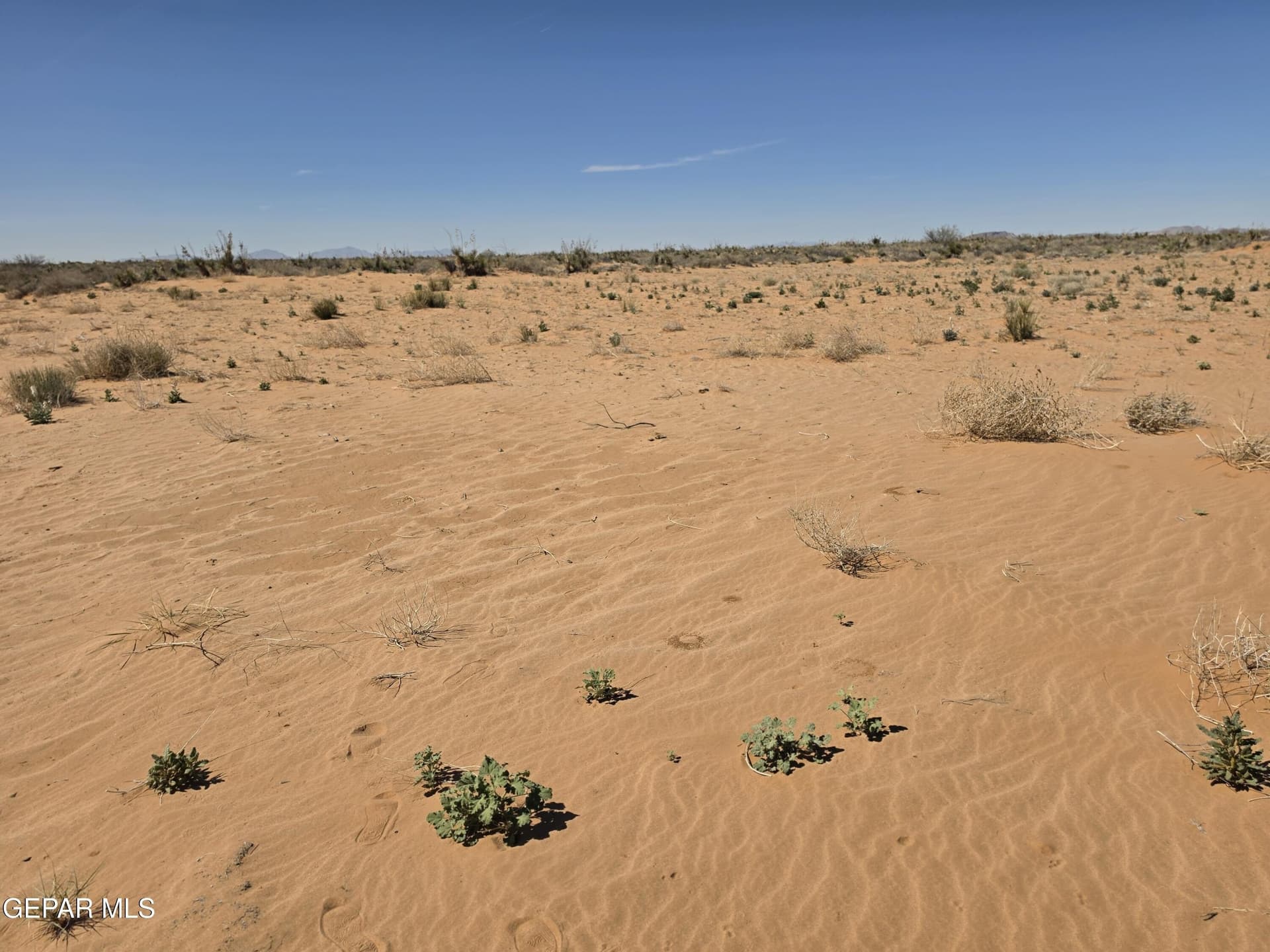 0.83 acres in El Paso County - photo 9