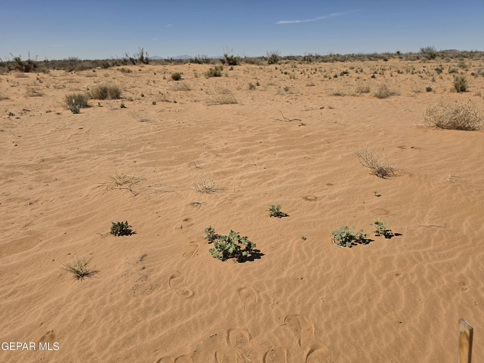 0.83 acres in El Paso County - photo 10