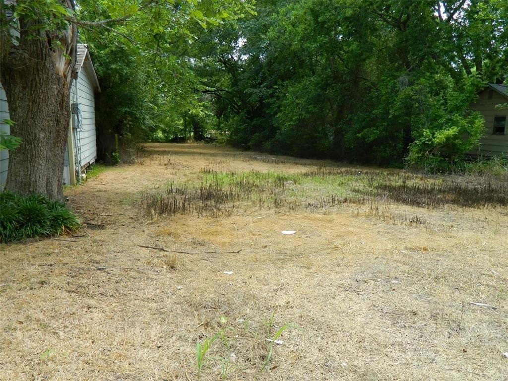 0.17 acres in Fannin County gallery image 2
