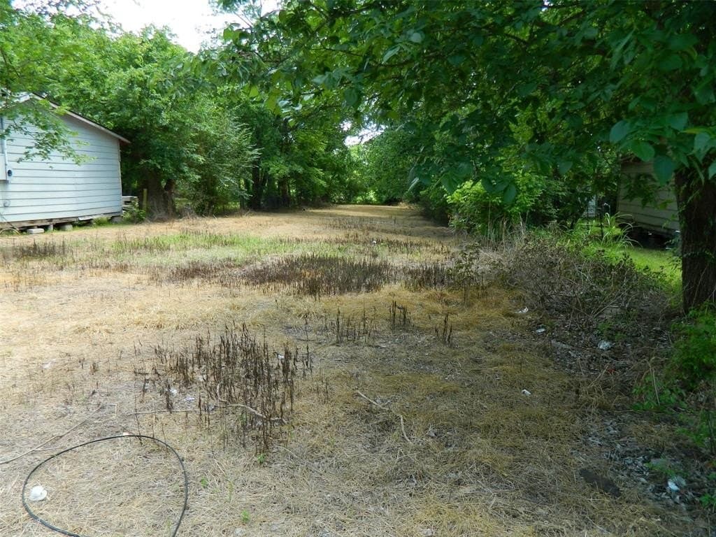 0.17 acres in Fannin County gallery image 3