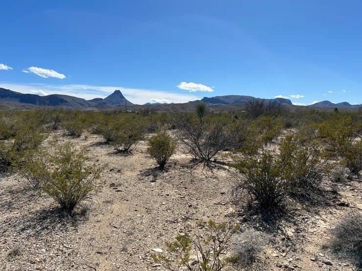 10 acres in Brewster County gallery image 2