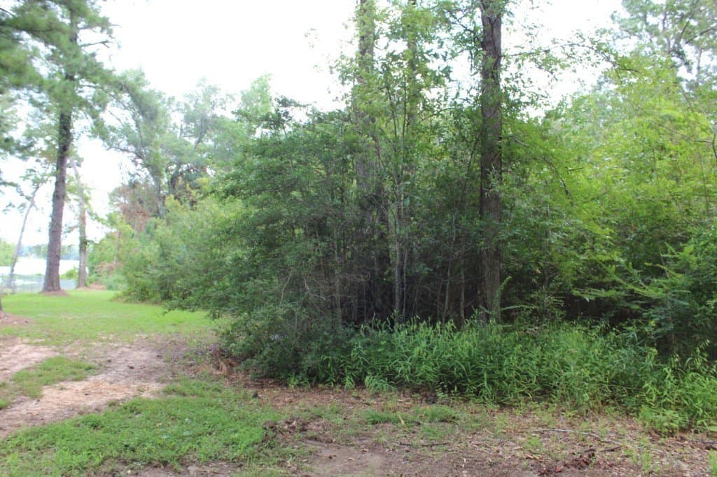0.75 acres in Texas County gallery image 4