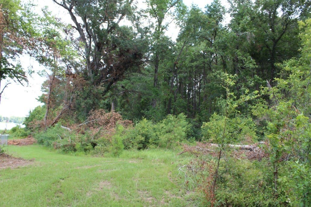 0.75 acres in Texas County featured view