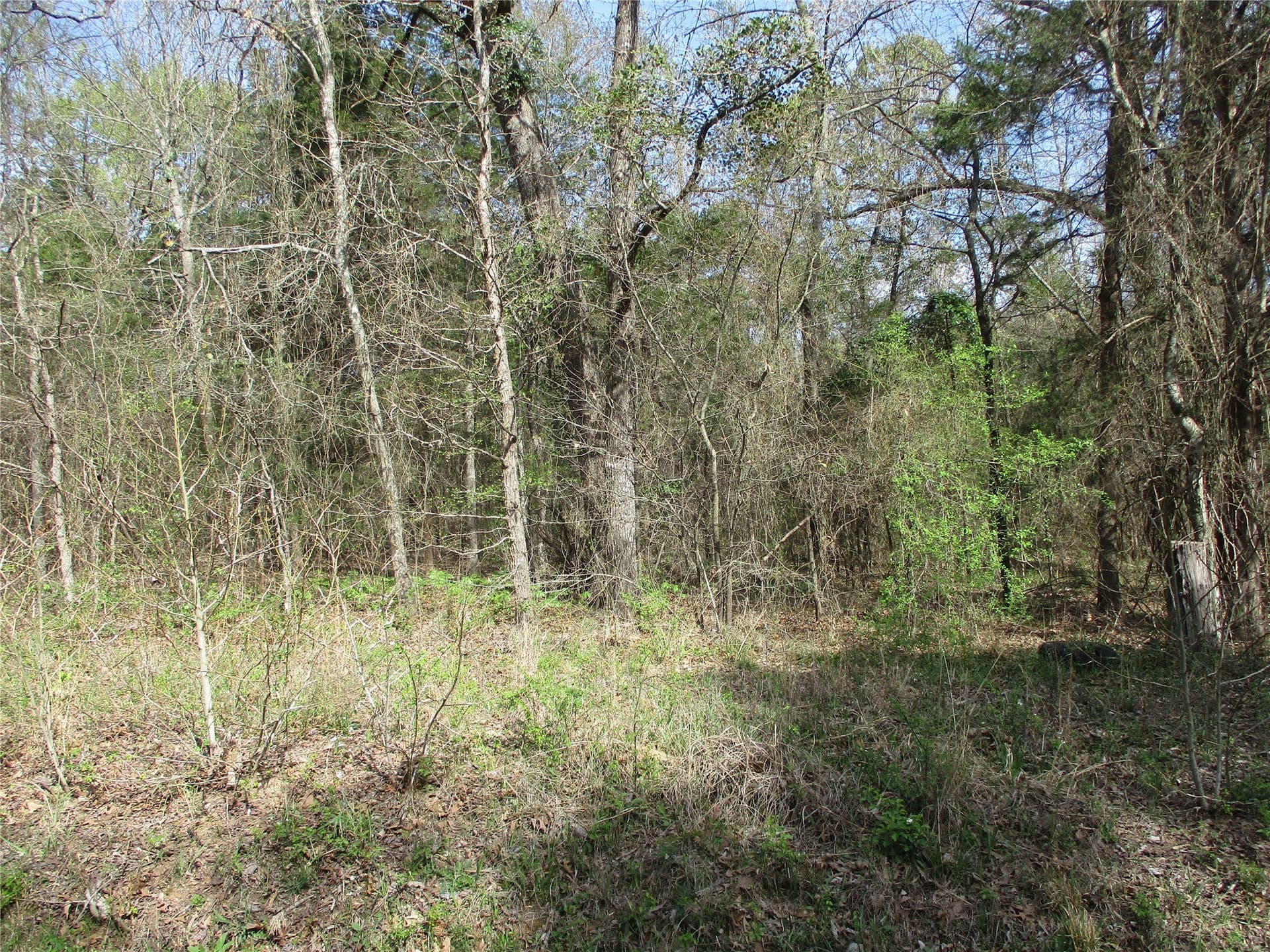6.1 acres in Wood County