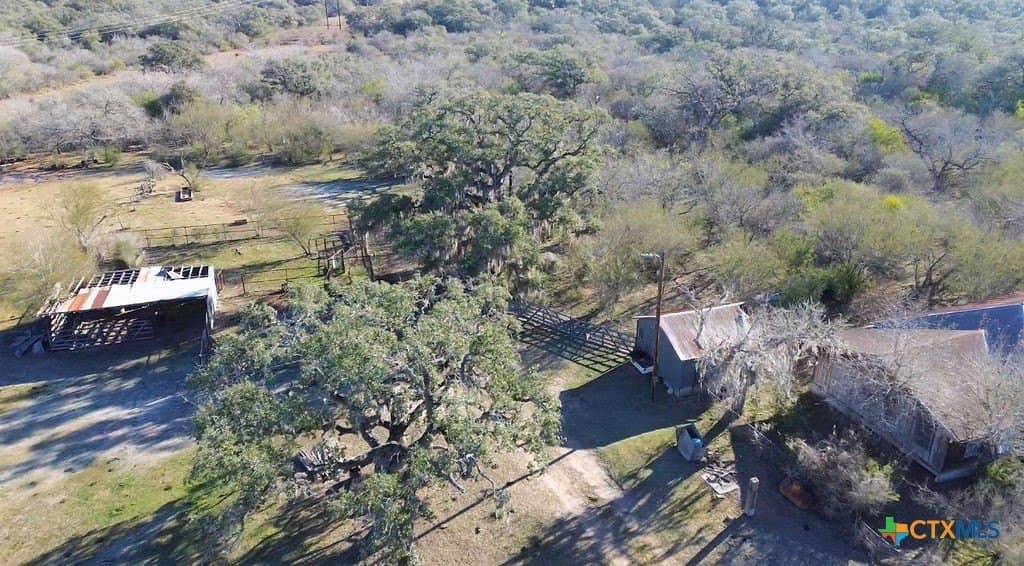 165.24 acres in Goliad County gallery image 3