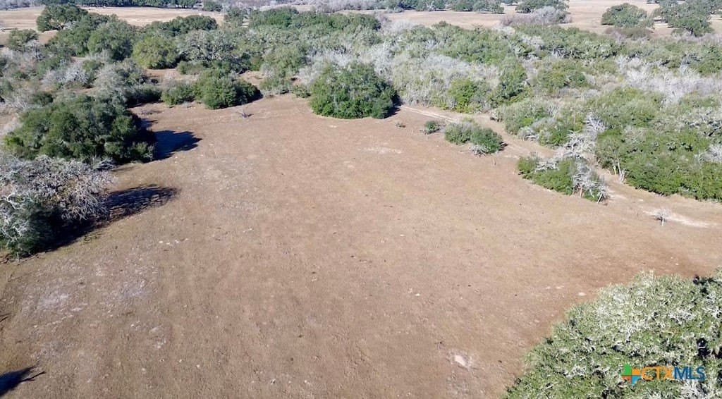 165.24 acres in Goliad County gallery image 2