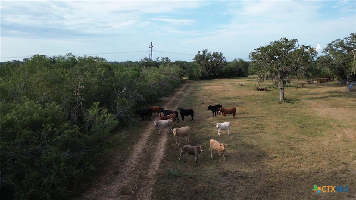 165.24 acres in Goliad County - photo 24