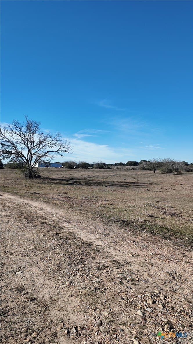 165.24 acres in Goliad County - photo 10