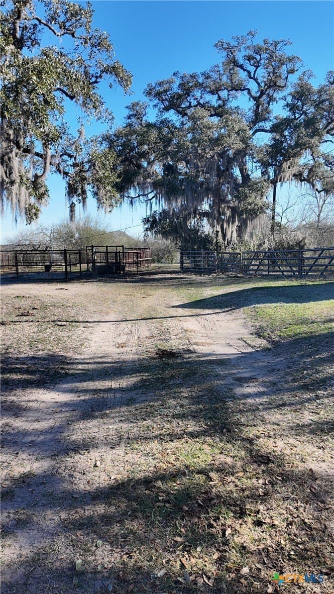 165.24 acres in Goliad County gallery image 2