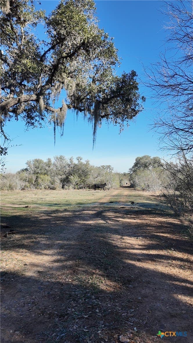 165.24 acres in Goliad County - photo 12