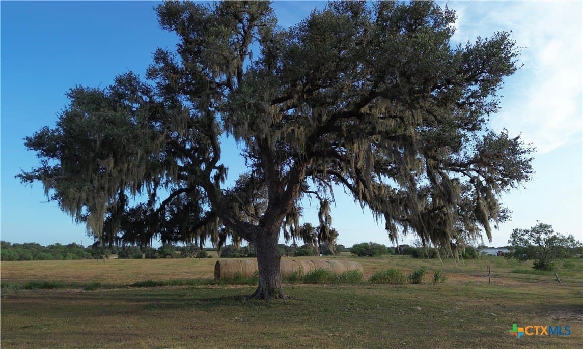 165.24 acres in Goliad County - photo 17