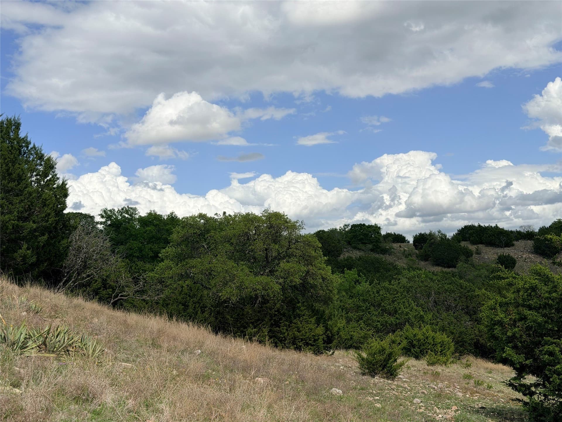 86 acres in Mills County - photo 10