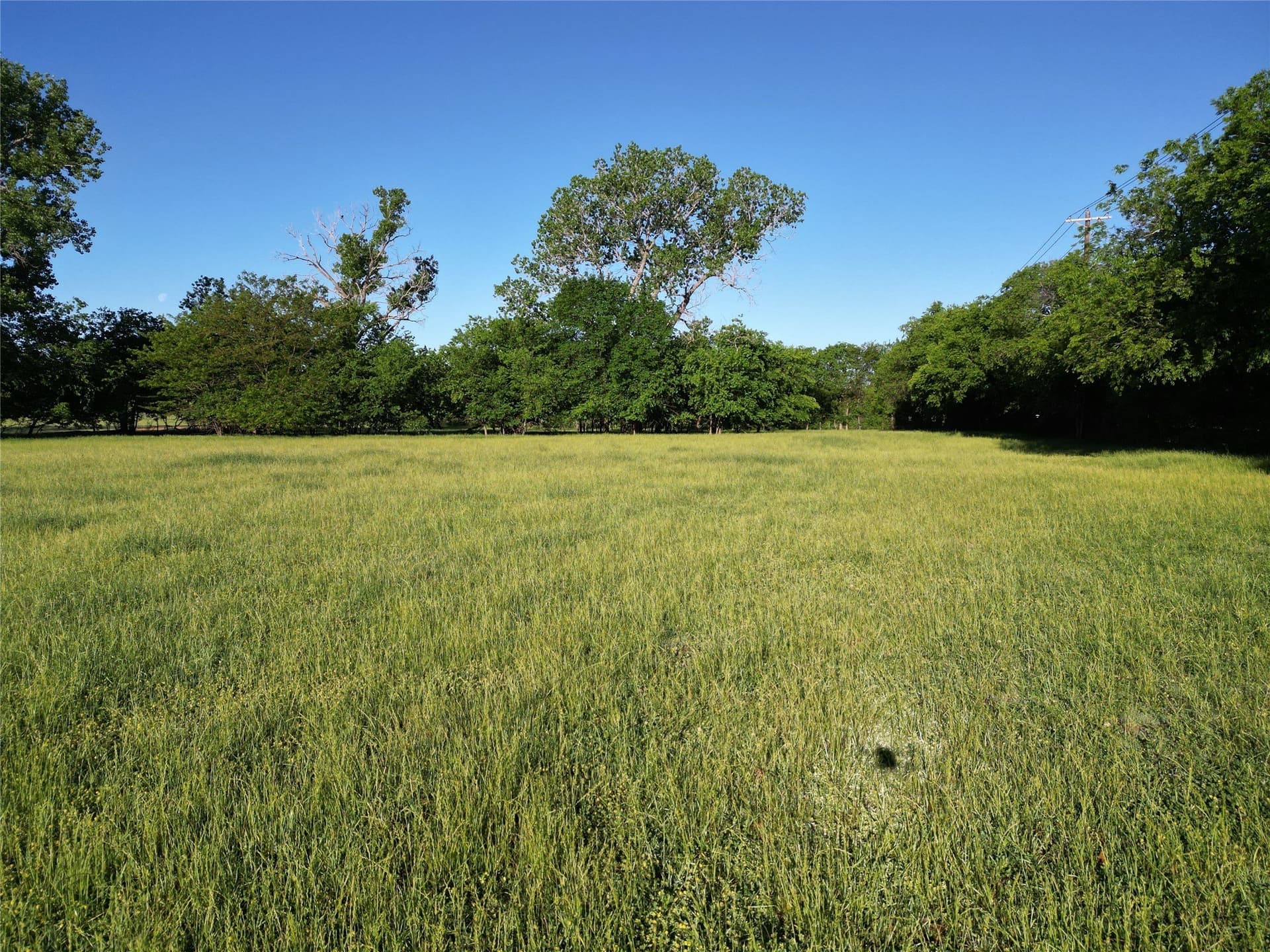 7.37 acres in Denton County - photo 23