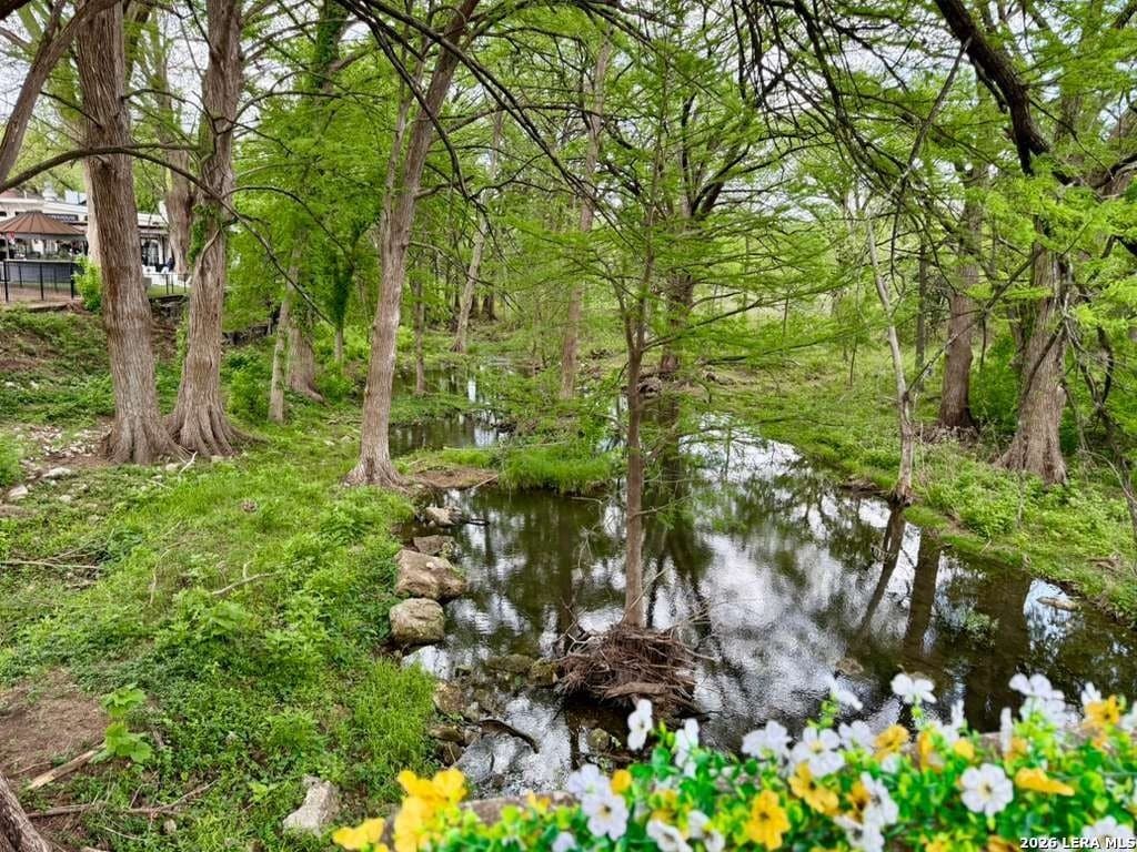 0.27 acres in Hays County - photo 11