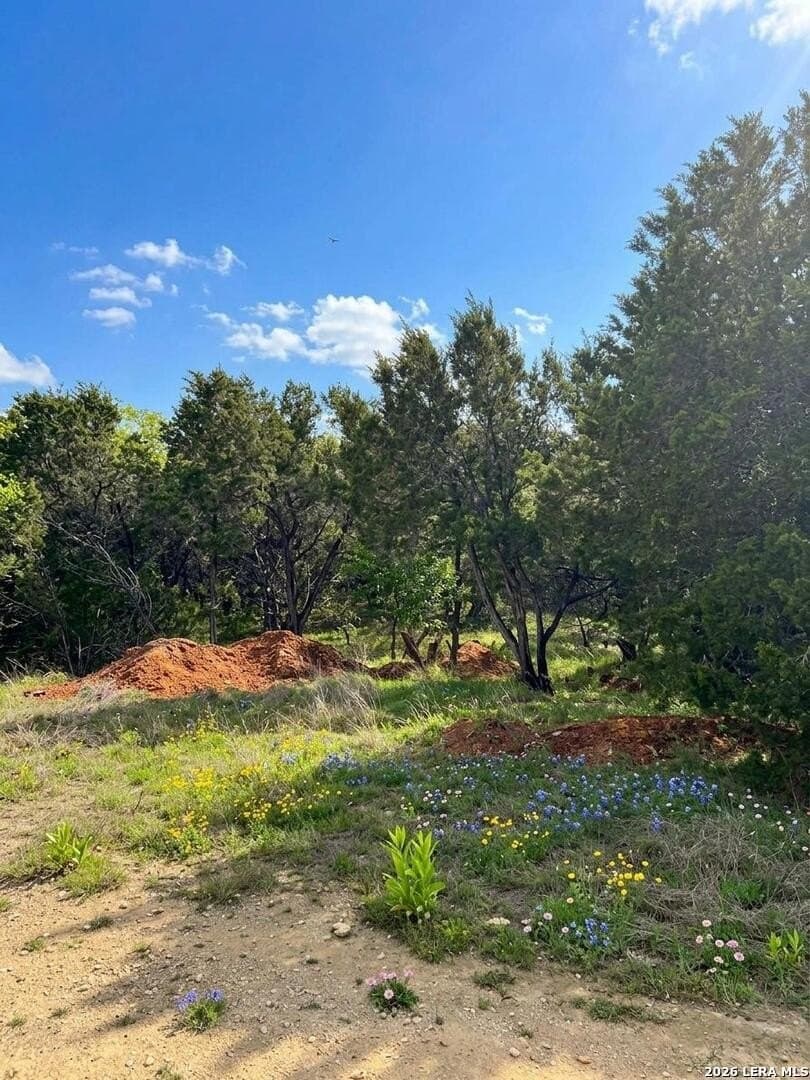 0.27 acres in Hays County - photo 6