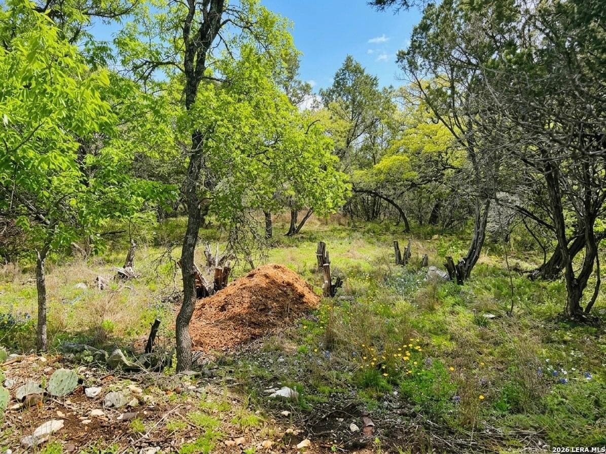 0.27 acres in Hays County - photo 7