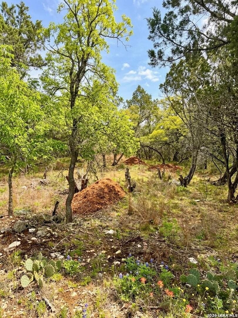 0.27 acres in Hays County - photo 8