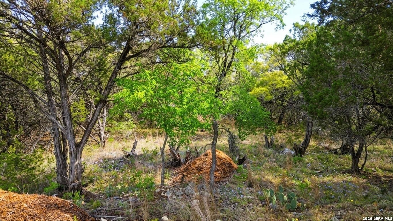 0.27 acres in Hays County gallery image 3