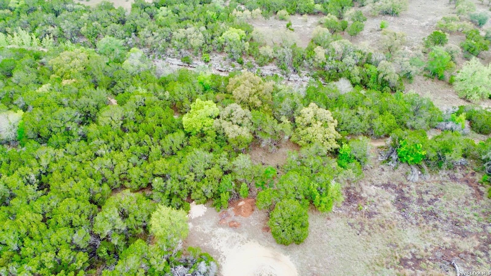 0.27 acres in Hays County gallery image 2