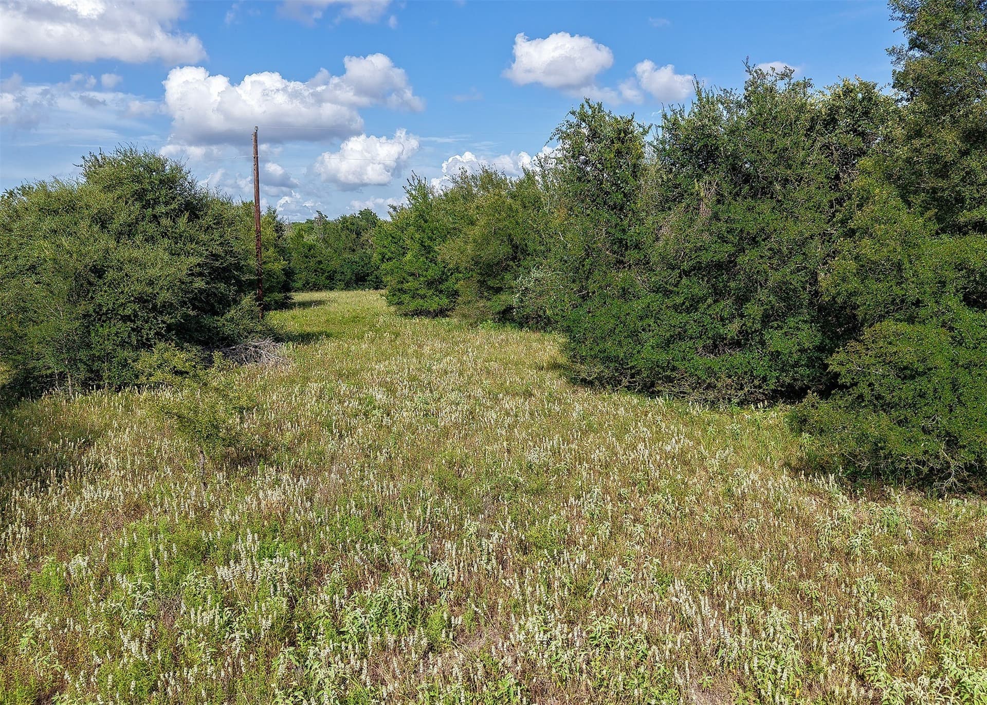 21.69 acres in Milam County - photo 5
