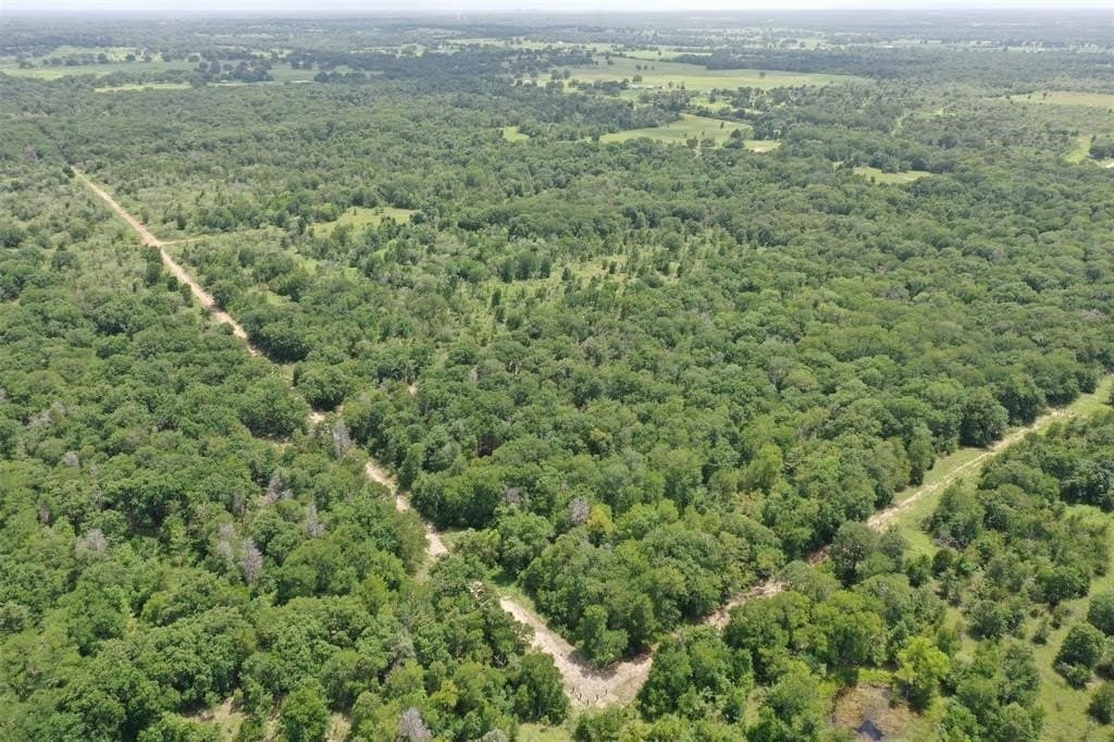 21.69 acres in Milam County - photo 6