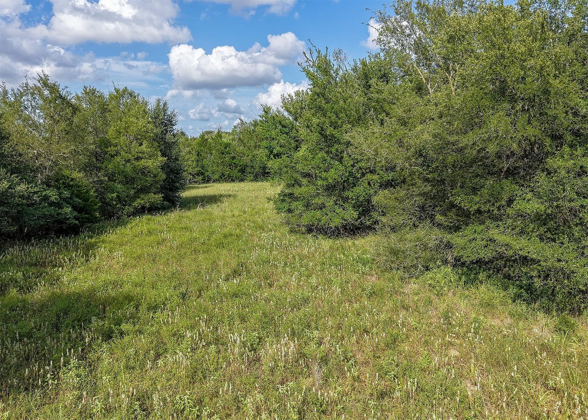 21.69 acres in Milam County