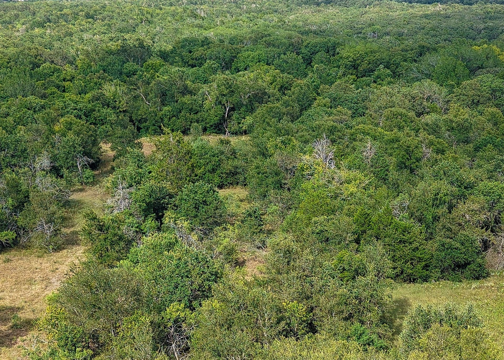 21.69 acres in Milam County - photo 4